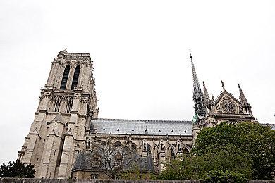 《战国王朝》steam抢先体验开启 开放世界建造生存探索